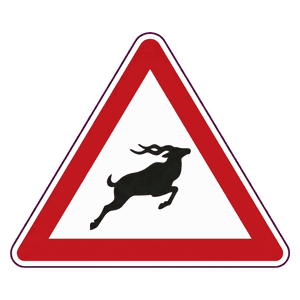 Wild animals crossing road sign